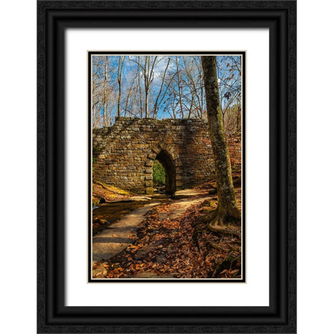 Poinsett Bridge Black Ornate Wood Framed Art Print with Double Matting by Malone, Will