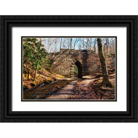 Poinsett Bridge 2 Black Ornate Wood Framed Art Print with Double Matting by Malone, Will