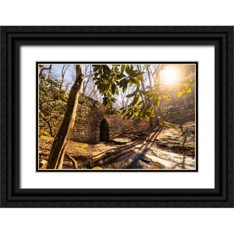 Poinsett Bridge 3 Black Ornate Wood Framed Art Print with Double Matting by Malone, Will
