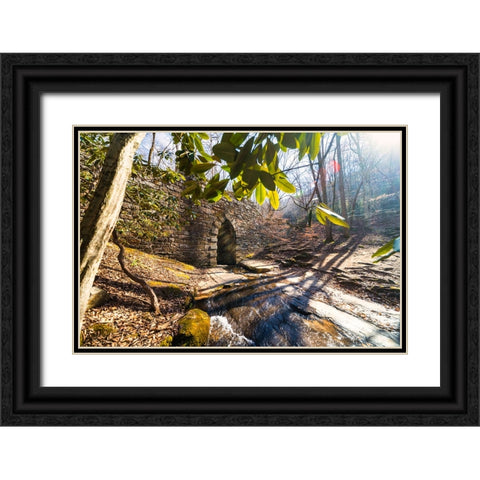 Poinsett Bridge 4 Black Ornate Wood Framed Art Print with Double Matting by Malone, Will