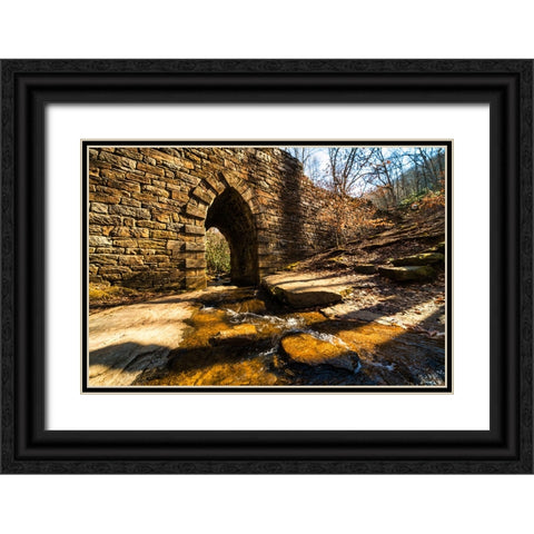 Poinsett Bridge 5 Black Ornate Wood Framed Art Print with Double Matting by Malone, Will