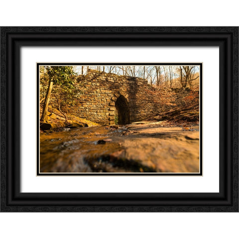 Poinsett Bridge 6 Black Ornate Wood Framed Art Print with Double Matting by Malone, Will