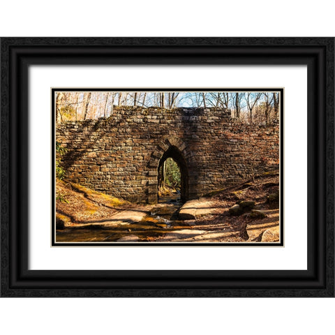 Poinsett Bridge 7 Black Ornate Wood Framed Art Print with Double Matting by Malone, Will