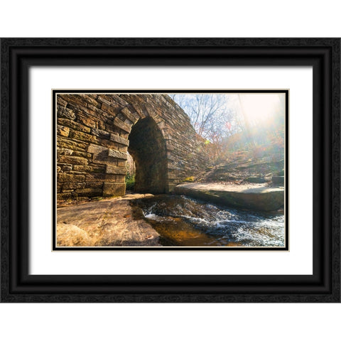 Poinsett Bridge 10 Black Ornate Wood Framed Art Print with Double Matting by Malone, Will