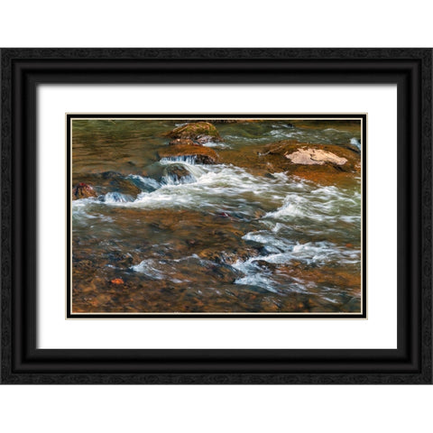 Winter Flow Black Ornate Wood Framed Art Print with Double Matting by Malone, Will