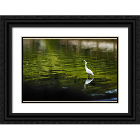 Reflection Black Ornate Wood Framed Art Print with Double Matting by Malone, Will