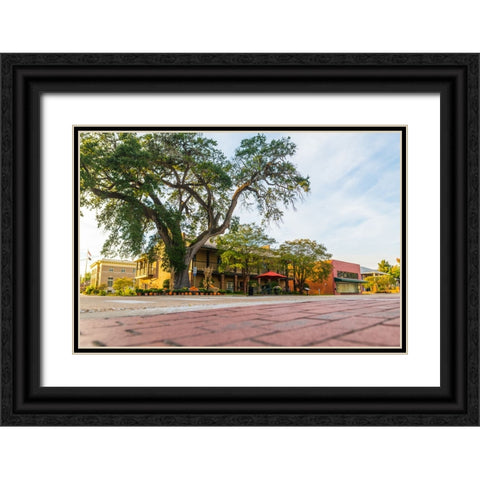 City Hall Black Ornate Wood Framed Art Print with Double Matting by Malone, Will