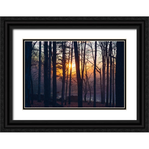 Foggy Sunrise Black Ornate Wood Framed Art Print with Double Matting by Malone, Will