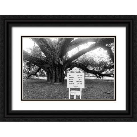 Big Oak Vintage Black Ornate Wood Framed Art Print with Double Matting by Malone, Will