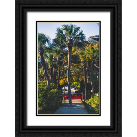 Camaro Palm Black Ornate Wood Framed Art Print with Double Matting by Malone, Will