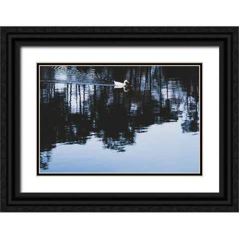 Cherokee Lake Duck Black Ornate Wood Framed Art Print with Double Matting by Malone, Will