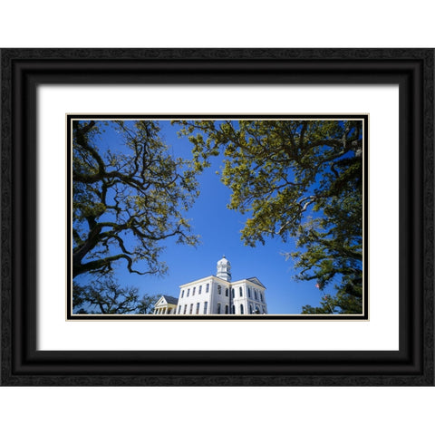 Courthouse 5 Black Ornate Wood Framed Art Print with Double Matting by Malone, Will