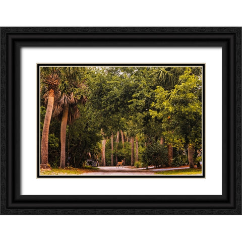 Deer Canopy Black Ornate Wood Framed Art Print with Double Matting by Malone, Will