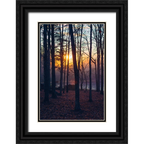 Foggy Sunrise Vert Black Ornate Wood Framed Art Print with Double Matting by Malone, Will