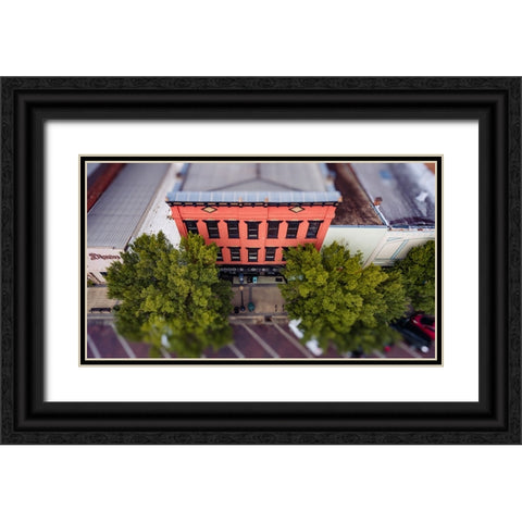 Grassroots Above 2 Black Ornate Wood Framed Art Print with Double Matting by Malone, Will