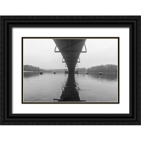 Hartwell Fog 1 Black Ornate Wood Framed Art Print with Double Matting by Malone, Will