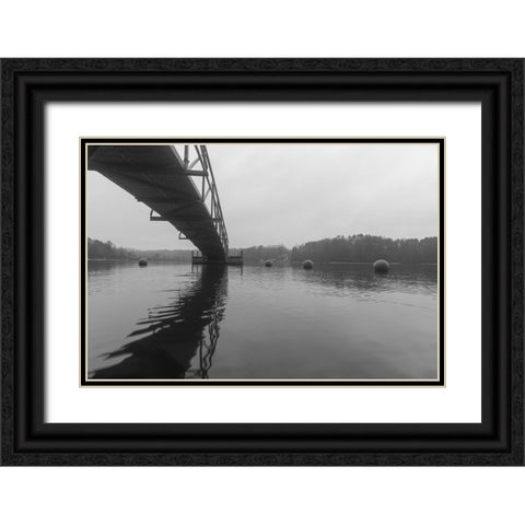 Hartwell Fog 3 Black Ornate Wood Framed Art Print with Double Matting by Malone, Will