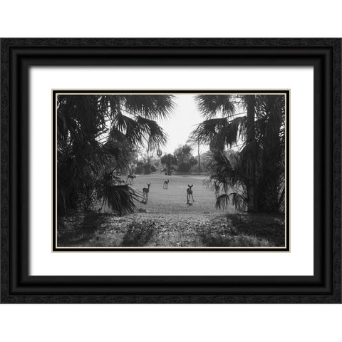 Hey Black Ornate Wood Framed Art Print with Double Matting by Malone, Will