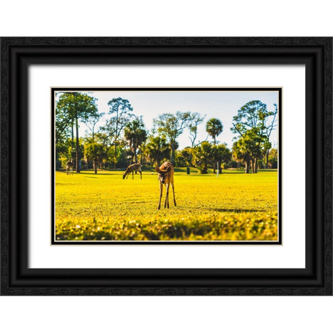Hi Black Ornate Wood Framed Art Print with Double Matting by Malone, Will