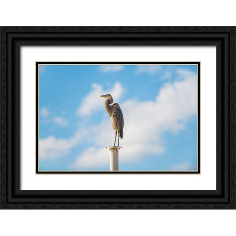 Keeping Watch Black Ornate Wood Framed Art Print with Double Matting by Malone, Will
