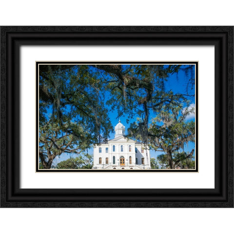 Live Oak Courthouse Black Ornate Wood Framed Art Print with Double Matting by Malone, Will