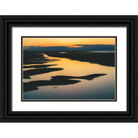 Magic Tide Pools 3 Black Ornate Wood Framed Art Print with Double Matting by Malone, Will