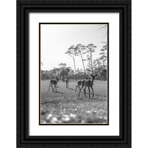 Make Way Black Ornate Wood Framed Art Print with Double Matting by Malone, Will