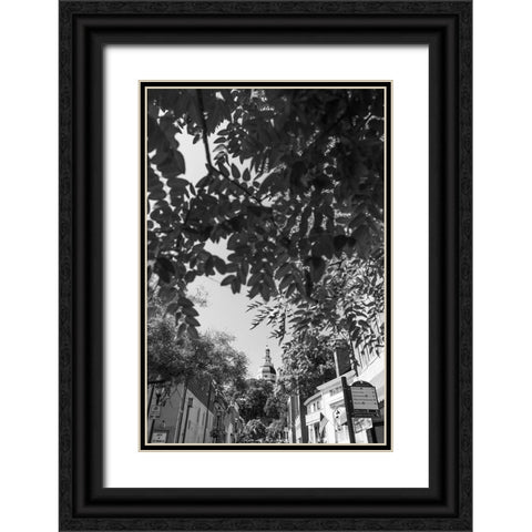 Maryland Capital Vertical Black Ornate Wood Framed Art Print with Double Matting by Malone, Will
