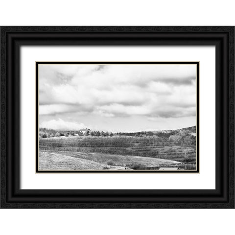 Merciers Black Ornate Wood Framed Art Print with Double Matting by Malone, Will