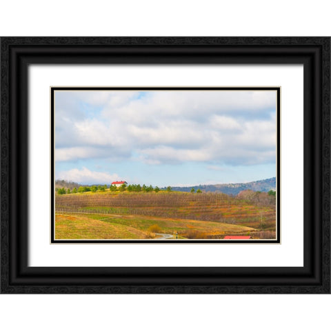 Merciers 2 Black Ornate Wood Framed Art Print with Double Matting by Malone, Will