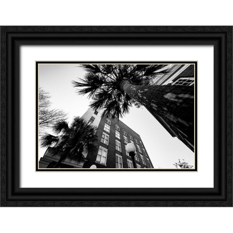 Metro Palm Black Ornate Wood Framed Art Print with Double Matting by Malone, Will
