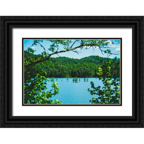 Ocoee Summer Black Ornate Wood Framed Art Print with Double Matting by Malone, Will