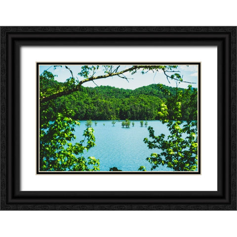 Ocoee Summer 2 Black Ornate Wood Framed Art Print with Double Matting by Malone, Will
