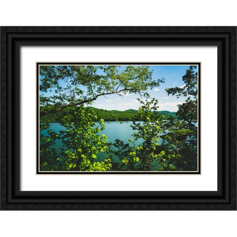 Ocoee Summer 3 Black Ornate Wood Framed Art Print with Double Matting by Malone, Will
