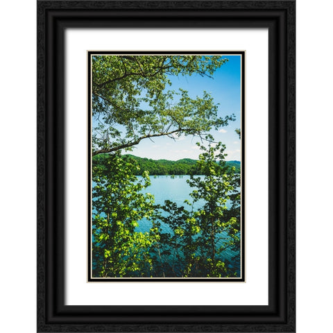 Ocoee Summer 3 Vertical Black Ornate Wood Framed Art Print with Double Matting by Malone, Will