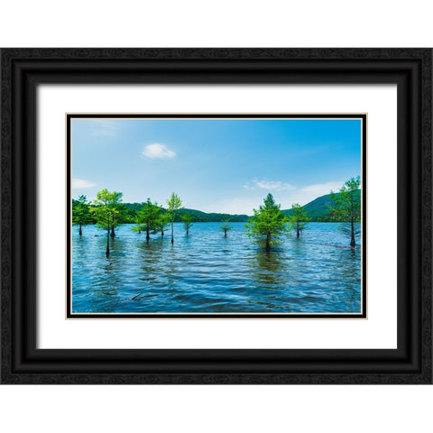 Ocoee Summer 4 Black Ornate Wood Framed Art Print with Double Matting by Malone, Will