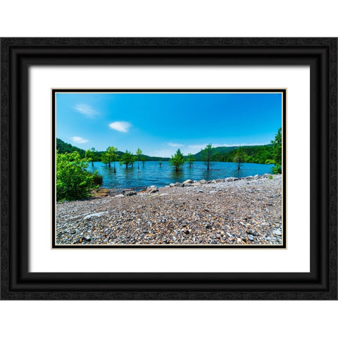 Ocoee Summer 5 Black Ornate Wood Framed Art Print with Double Matting by Malone, Will