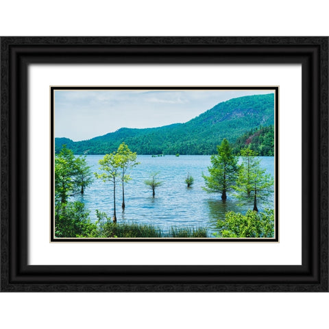 Ocoee Summer 6 Black Ornate Wood Framed Art Print with Double Matting by Malone, Will