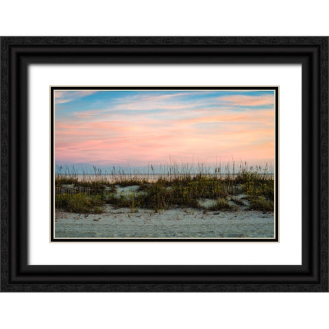 Over the Fence 2 Black Ornate Wood Framed Art Print with Double Matting by Malone, Will