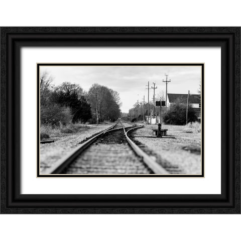 Rails Black Ornate Wood Framed Art Print with Double Matting by Malone, Will