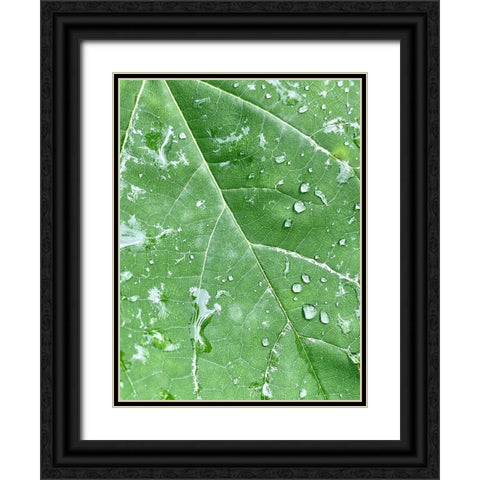 RainVein Black Ornate Wood Framed Art Print with Double Matting by Malone, Will