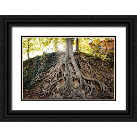 Root Black Ornate Wood Framed Art Print with Double Matting by Malone, Will