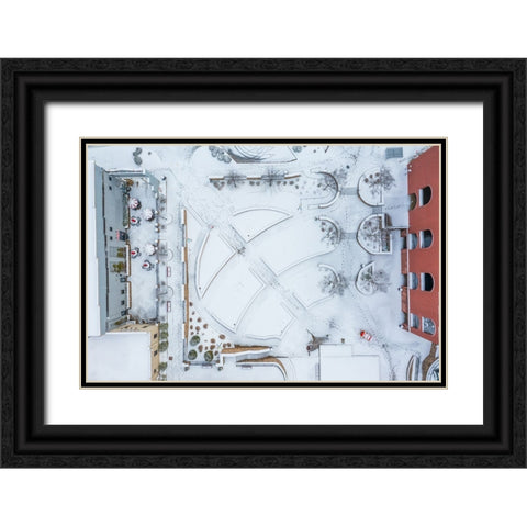 Snow Wren Black Ornate Wood Framed Art Print with Double Matting by Malone, Will