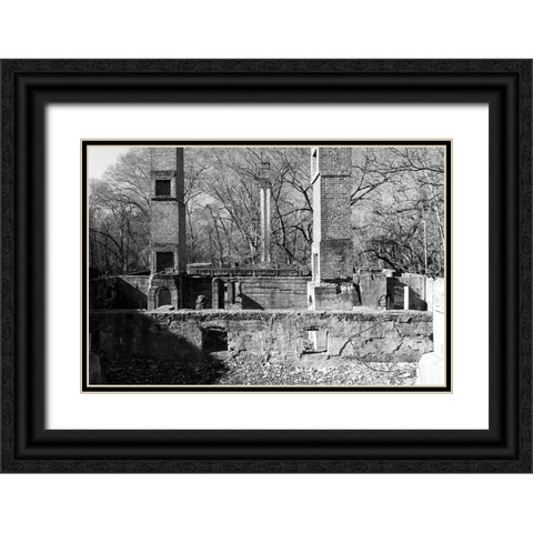 Tanglewood 1 Black Ornate Wood Framed Art Print with Double Matting by Malone, Will