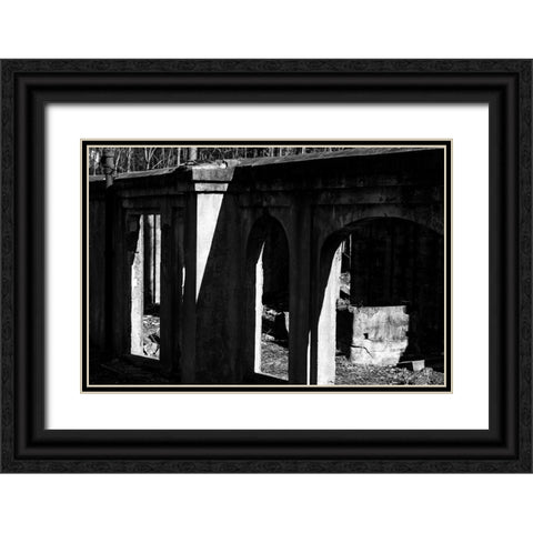 Tanglewood 3 Black Ornate Wood Framed Art Print with Double Matting by Malone, Will