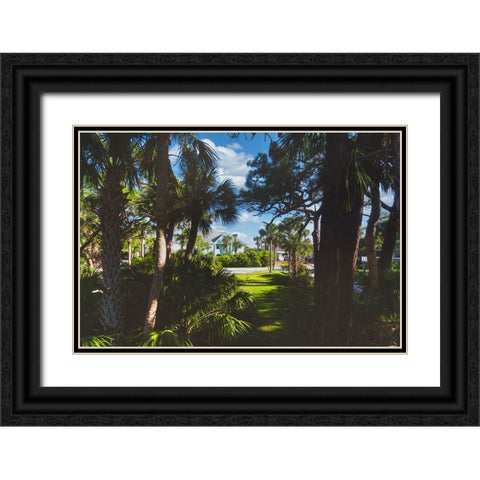 Tarpon Black Ornate Wood Framed Art Print with Double Matting by Malone, Will