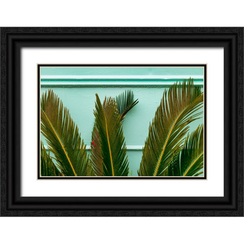 Teal Fern Black Ornate Wood Framed Art Print with Double Matting by Malone, Will