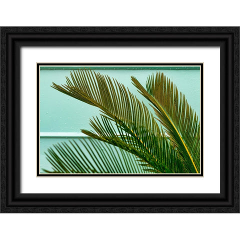 Teal Fern 2 Black Ornate Wood Framed Art Print with Double Matting by Malone, Will
