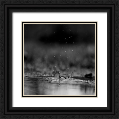 The Drop Black Ornate Wood Framed Art Print with Double Matting by Malone, Will