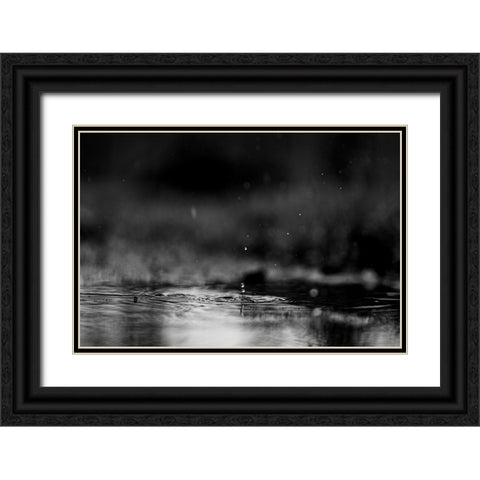 The Drop alternate Black Ornate Wood Framed Art Print with Double Matting by Malone, Will
